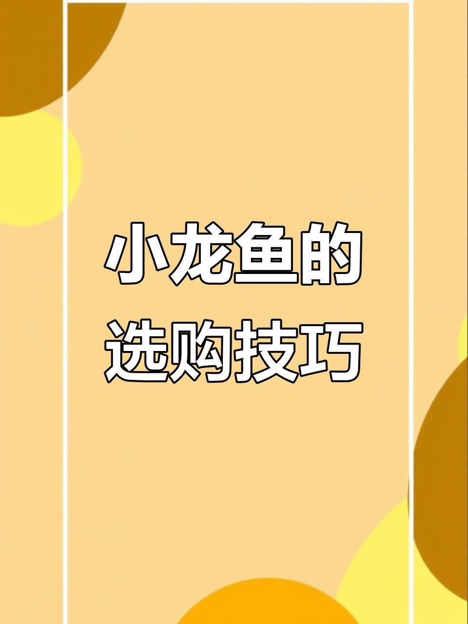 如何選購新鮮的龍頭魚？