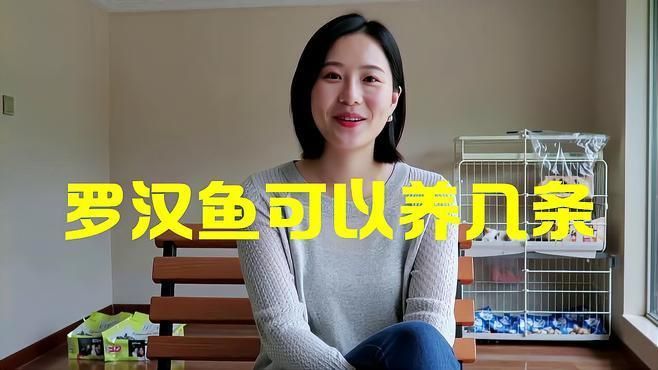羅漢魚養(yǎng)幾條不打架