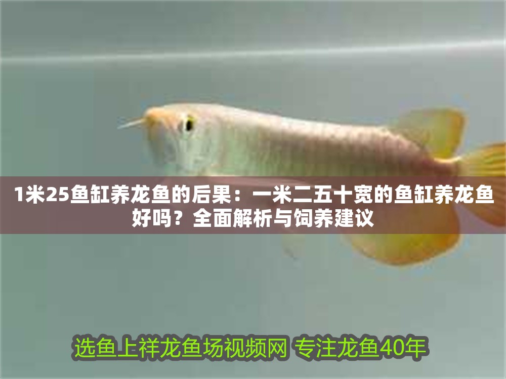 1米25魚缸養龍魚的后果：一米二五十寬的魚缸養龍魚好嗎？全面解析與飼養建議