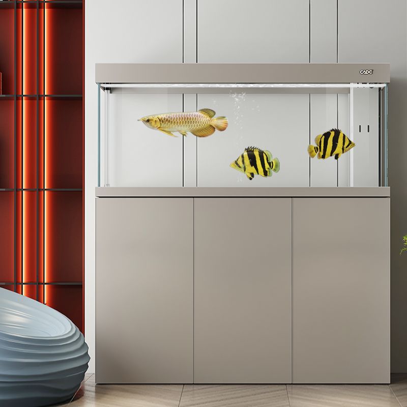 龍魚專用缸排名：高檔龍魚缸優(yōu)缺點(diǎn)