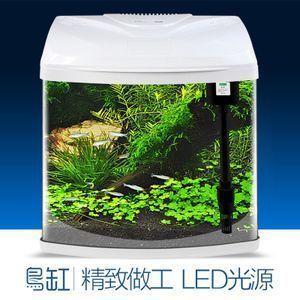 魚缸一般幾天換水合適（不同季節魚缸換水注意事項）