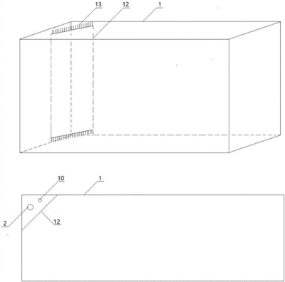 養(yǎng)紅龍魚缸需要多大的水：養(yǎng)紅龍魚的水位、尺寸和設(shè)計(jì)等因素