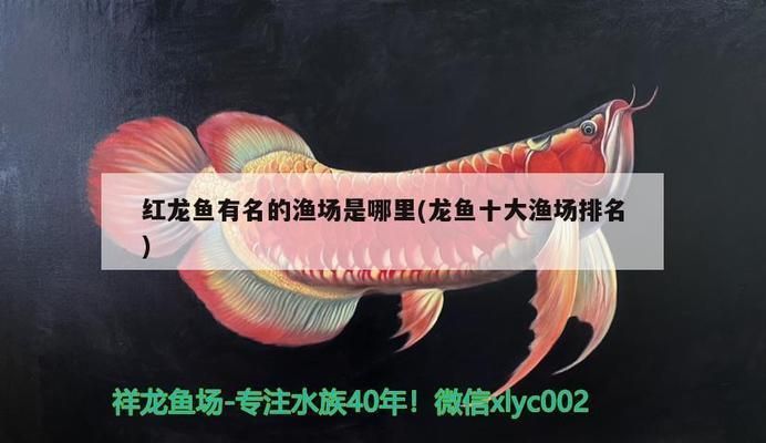 紅龍魚有名的漁場有哪些地方（以紅龍魚養殖而聞名的漁場）