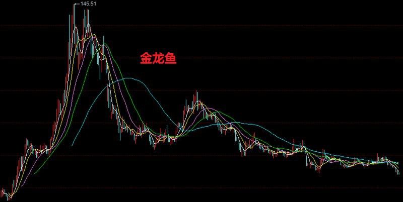 金龍魚 知乎