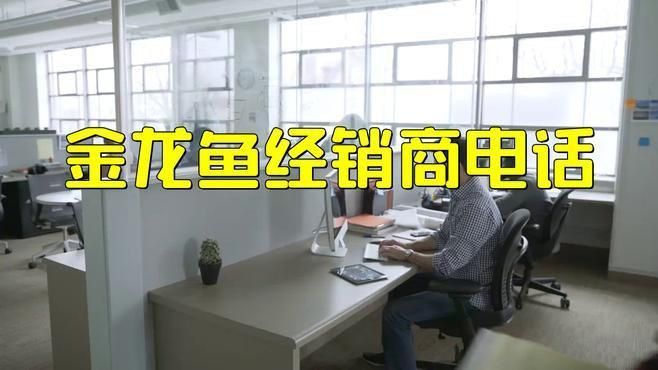 古典藍過背金龍魚購買渠道