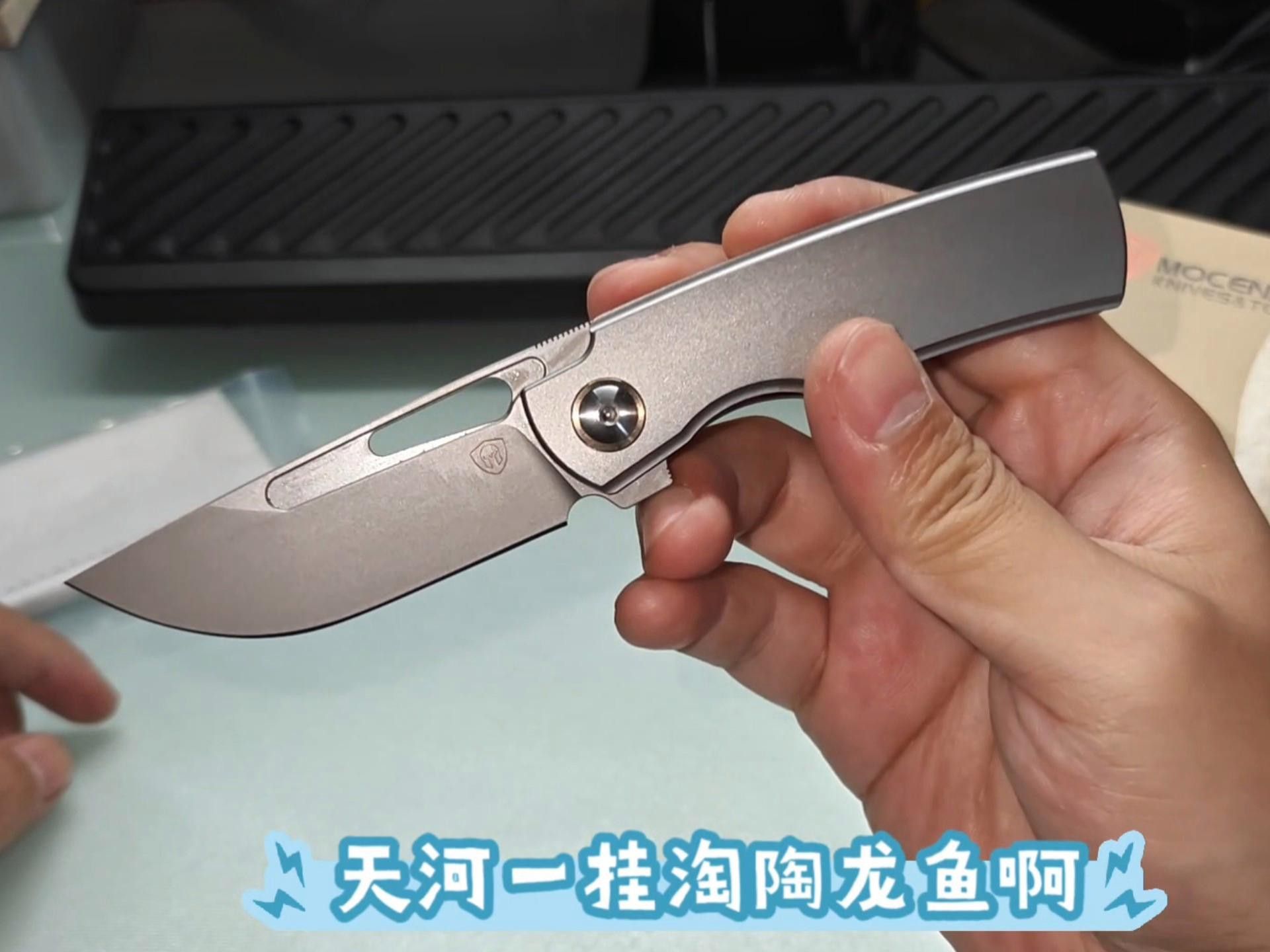 紅龍魚的最佳拍攝環境是怎樣的？