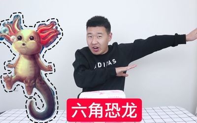 六角恐龍魚吃什么：六角恐龍魚被咬傷了怎么辦