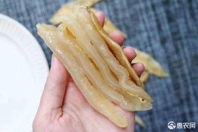 小金龍魚膠燉完沒了：燉制小金龍魚膠后發現魚膠不見了
