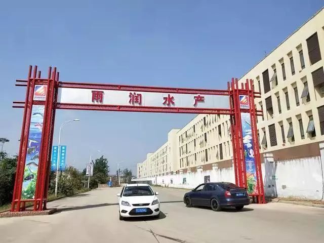 徐州龍魚市場地址