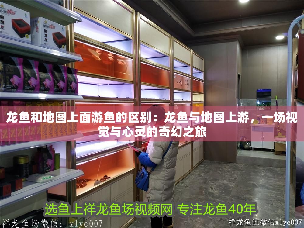 龍魚和地圖上面游魚的區別：龍魚與地圖上游，一場視覺與心靈的奇幻之旅