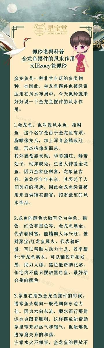 泥鰍怎么喂龍魚吃：喂養泥鰍給龍魚是一項需要注意幾個關鍵步驟的任務