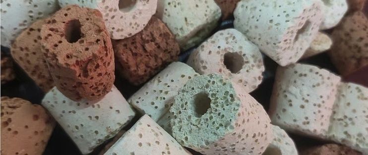 型水魚缸最建議買的三樣東西
