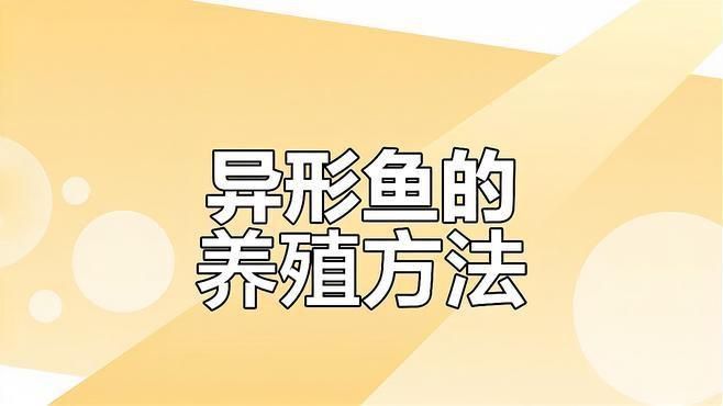 金鉆異形魚好養嗎