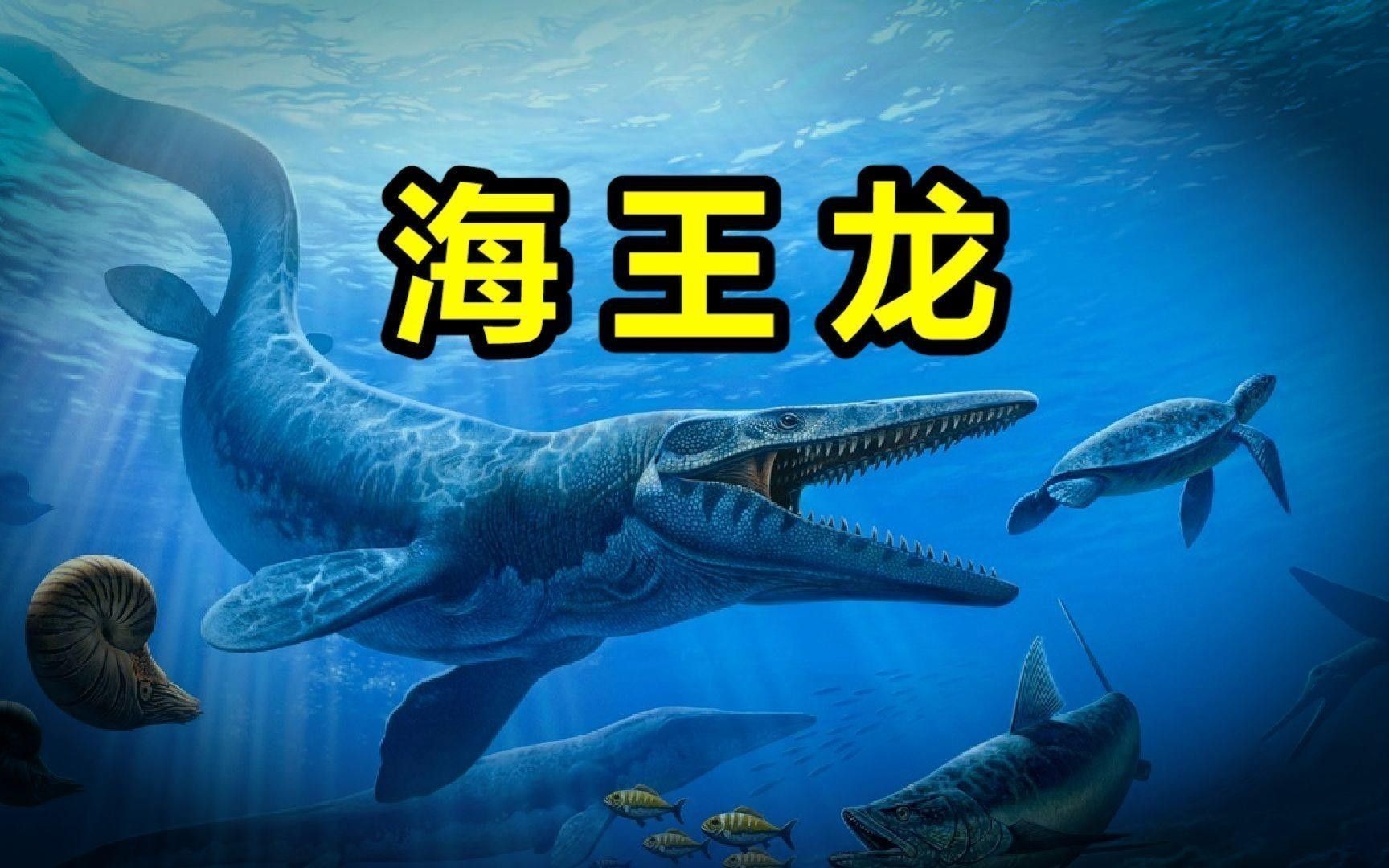 霍夫曼滄龍和海王龍哪個(gè)更聰明？