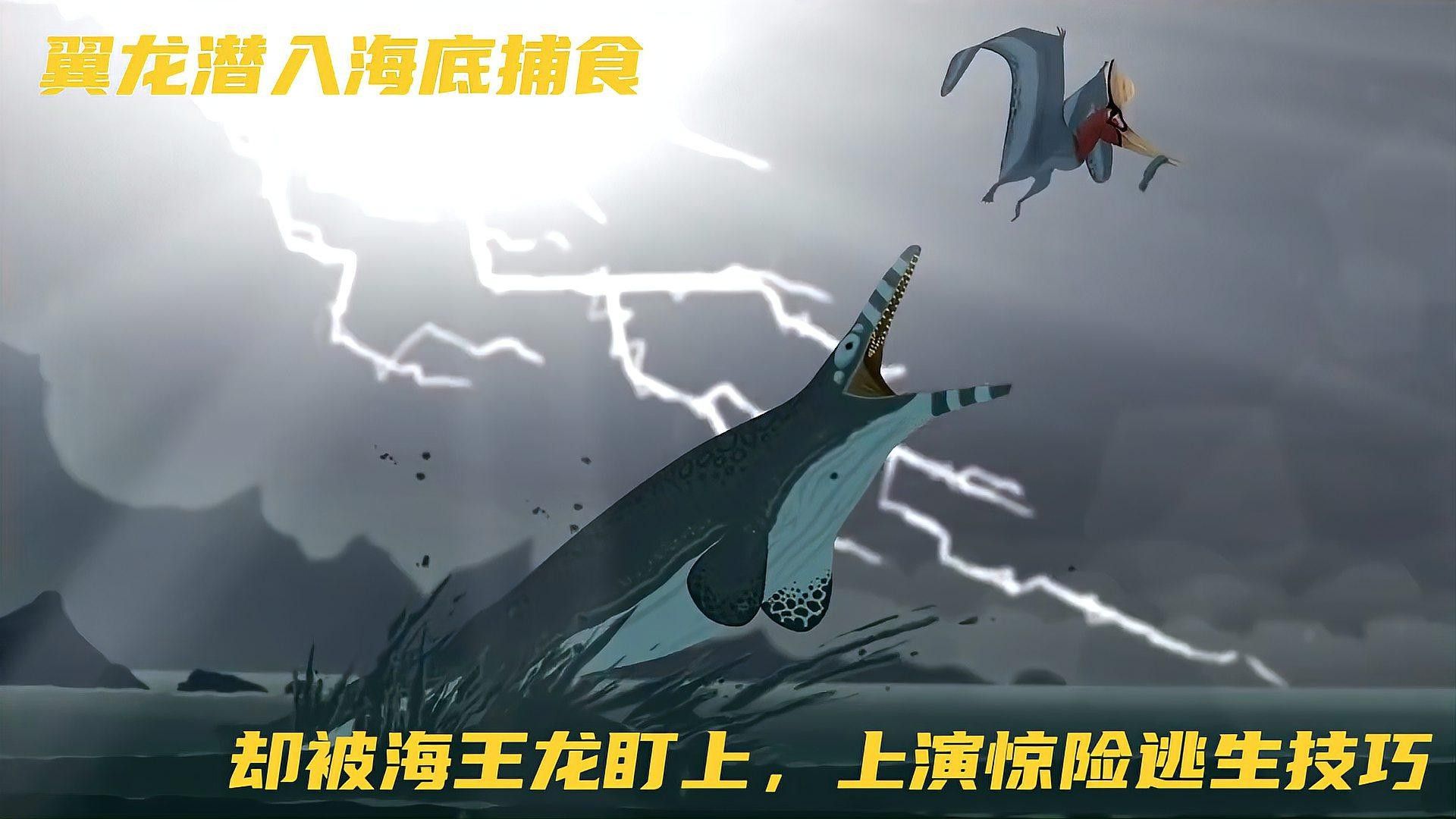 霍夫曼滄龍和海王龍哪個(gè)更聰明？