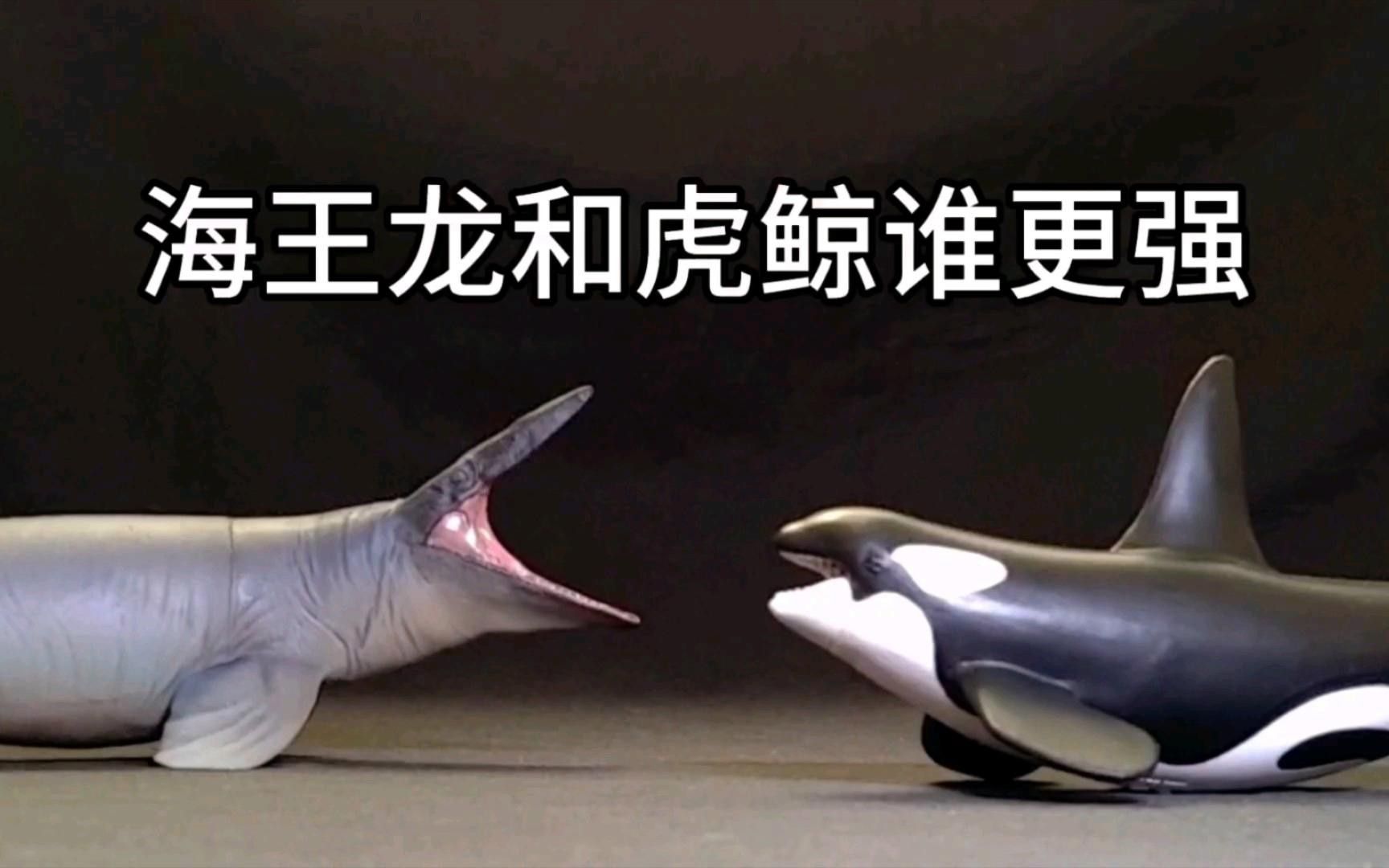 霍夫曼滄龍和海王龍哪個(gè)更聰明？