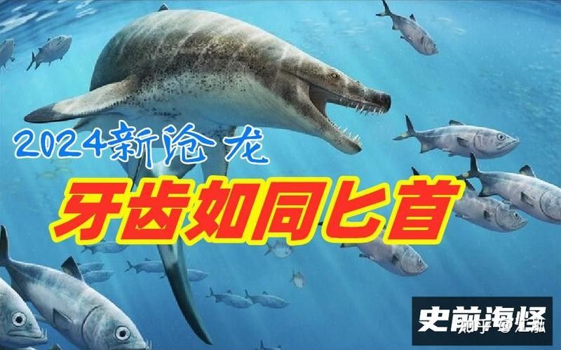 霍夫曼滄龍和海王龍哪個(gè)更聰明？