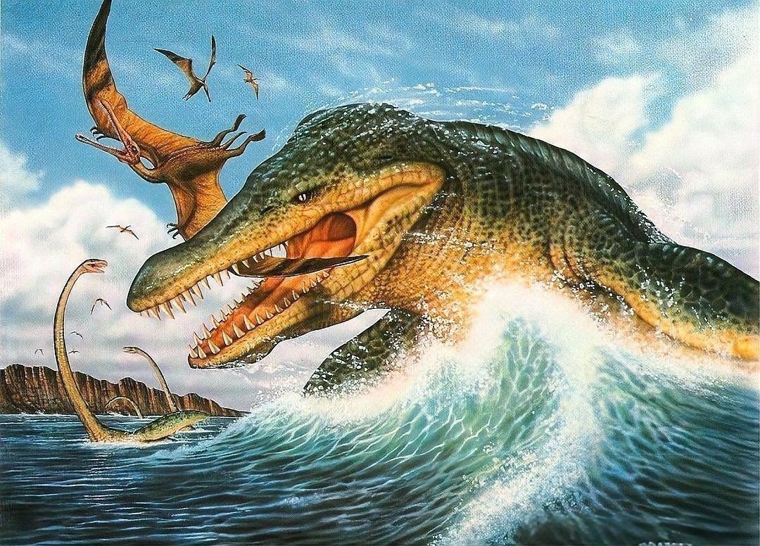 霍夫曼滄龍和海王龍哪個(gè)更聰明？