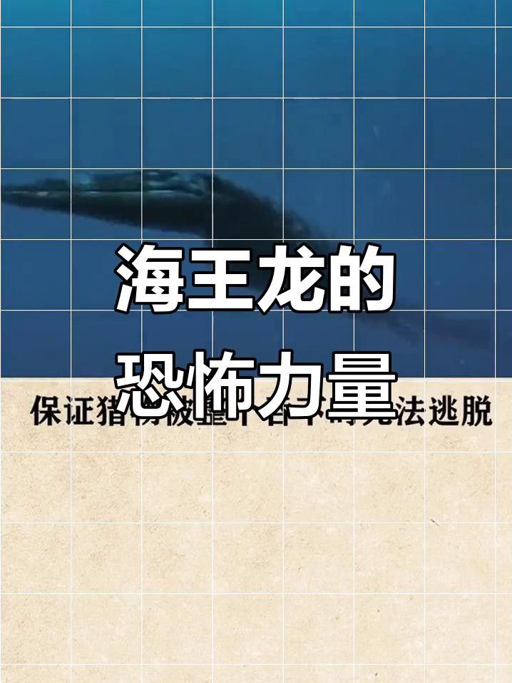 霍夫曼滄龍和海王龍哪個(gè)更聰明？