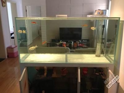 龍魚論壇24小時滴流換水好嗎：24小時滴流換水是一種常用于龍魚養殖的換水方式