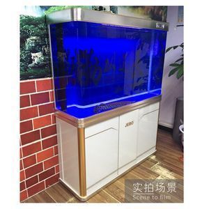 大型龍魚缸過濾（大型龍魚缸過濾系統(tǒng)的設(shè)計和使用）