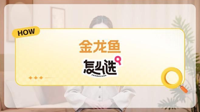 金龍魚最長能長多長厘米