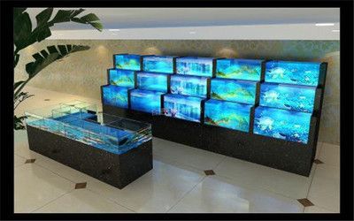 輝煌龍魚缸專賣店怎么樣：輝煌龍魚缸專賣店產品質量、設計、定制服務和用戶反饋