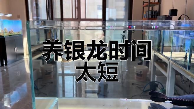 銀龍魚魚缸價格范圍是多少？