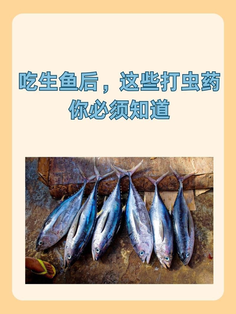 吡喹酮對龍魚安全嗎？