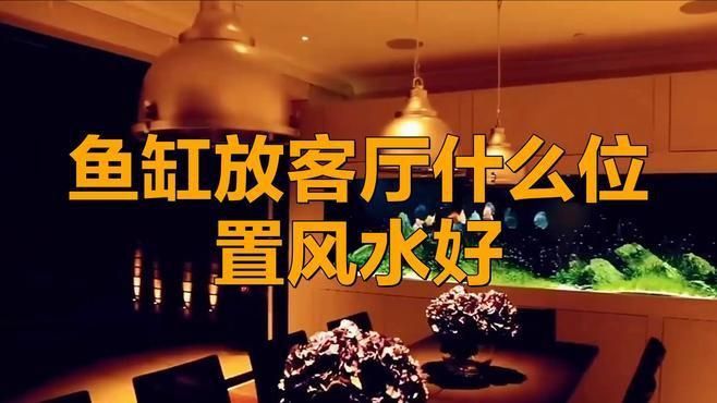 龍魚缸放在客廳什么位置最好