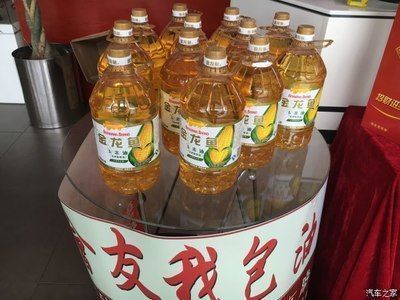 金龍魚進貨價：金龍魚進貨價的詳細解析