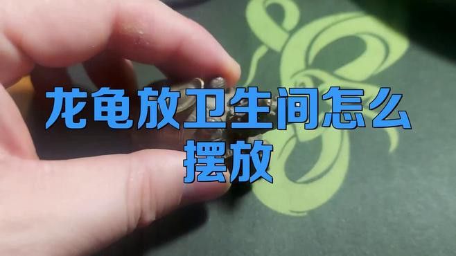 龍龜在衛生間擺放有哪些講究？
