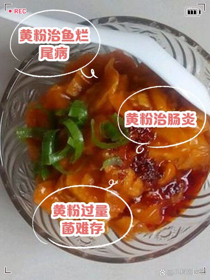 龍魚爛鰭用黃粉有用嗎？ 龍魚爛鰭用黃粉有用嗎？ 龍魚百科 第1張