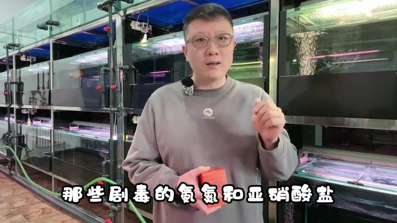 龍魚對黃粉敏感應該如何處理？