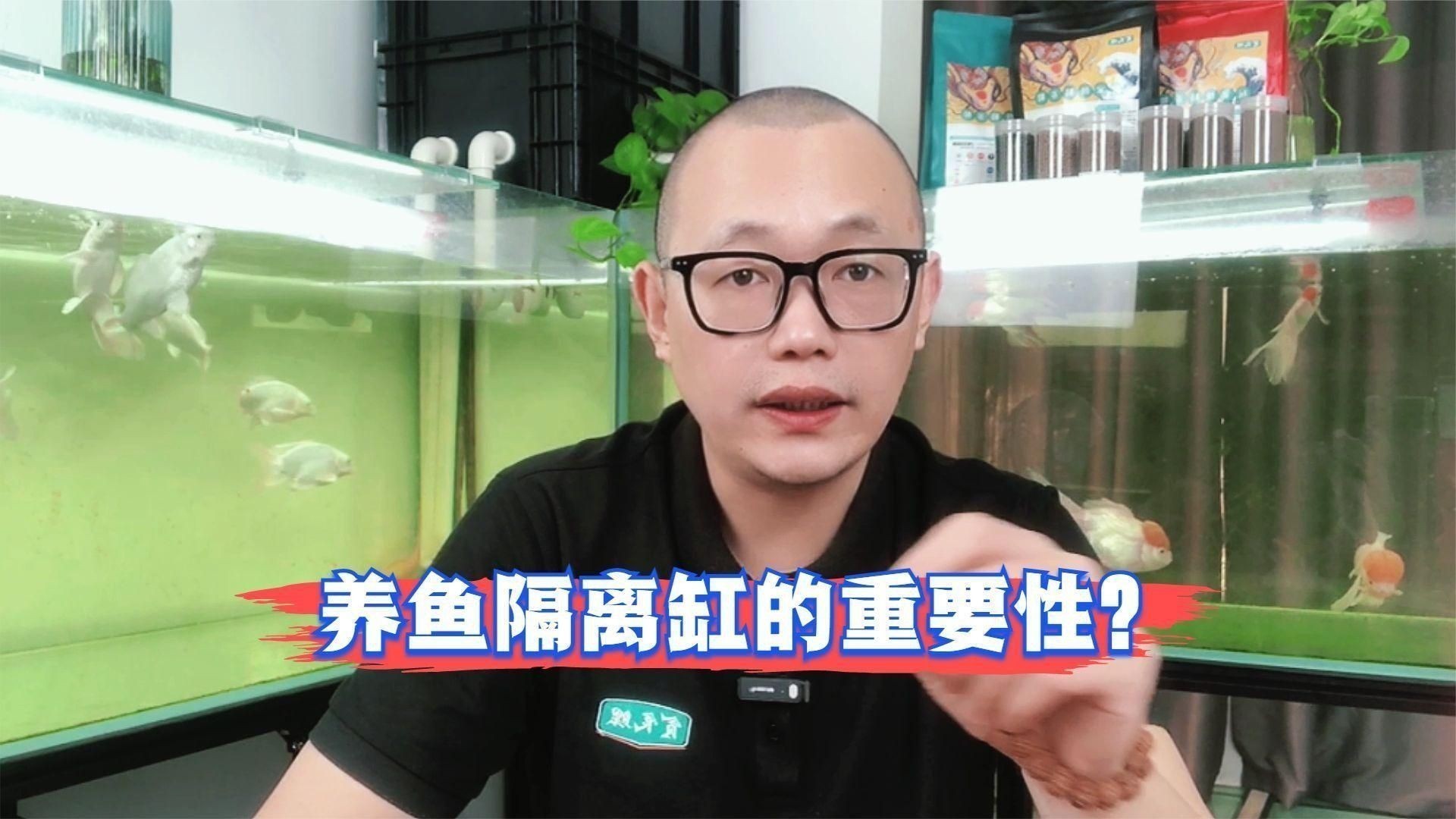 魚受傷后需要隔離嗎？