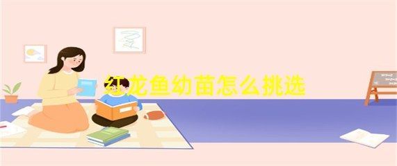 紅龍魚挑選幼苗的方法圖解：挑選紅龍魚幼苗的關鍵方法圖解紅龍魚幼苗的挑選方法圖解