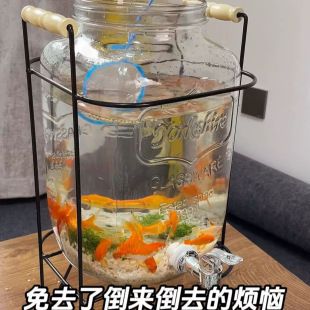 形水魚缸的創始人及家庭背景介紹
