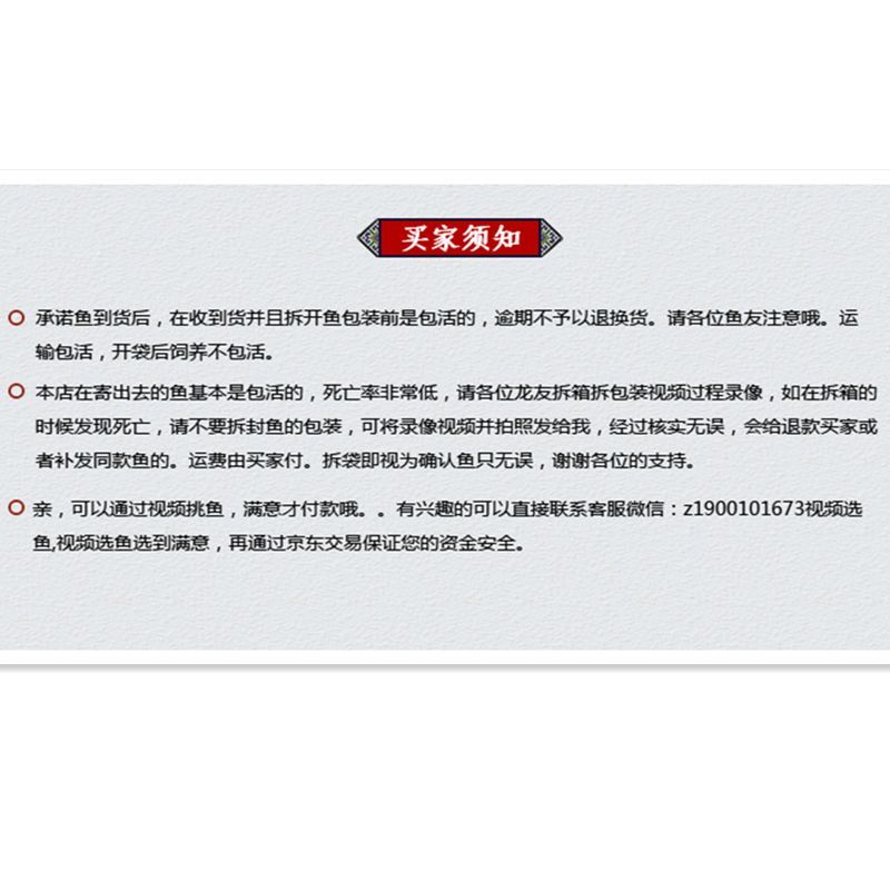 養龍魚的微信群名稱怎么取，養龍魚微信群名稱怎么?。吼B龍魚的微信群名稱怎么取取
