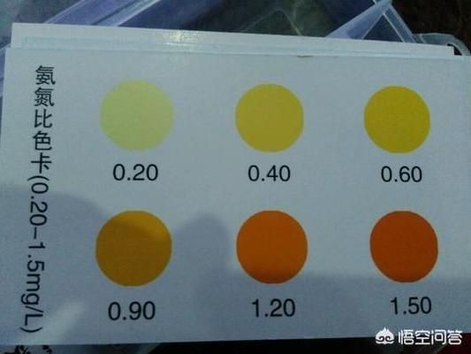 魚缸多長時間換水最好呢（夏季魚缸換水注意事項）