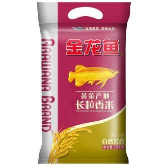 金龍魚排行榜前十名是什么魚