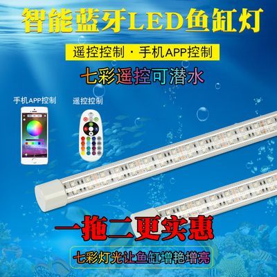 金龍魚缸燈是開著還是關著好：金龍魚缸燈應該一直開著還是關著好 金龍魚缸燈是開著還是關著好：金龍魚缸燈應該一直開著還是關著好 龍魚百科 第2張
