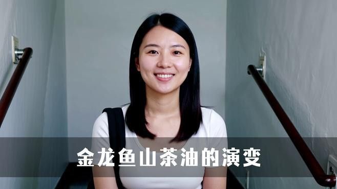 金龍魚山茶油好嗎