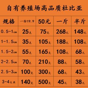 龍魚糧哪個品牌好：如何辨別龍魚飼料質量