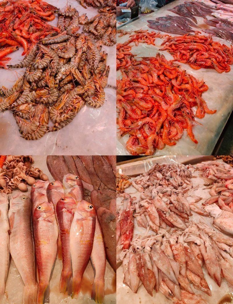 老虎魚價格一覽表