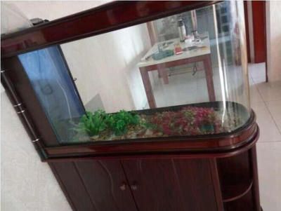 龍魚魚缸價格多少錢：龍魚魚缸價格