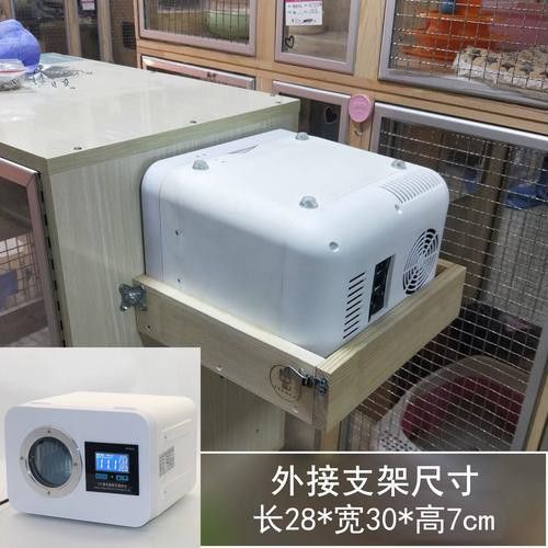 如何預防龍貓中暑？