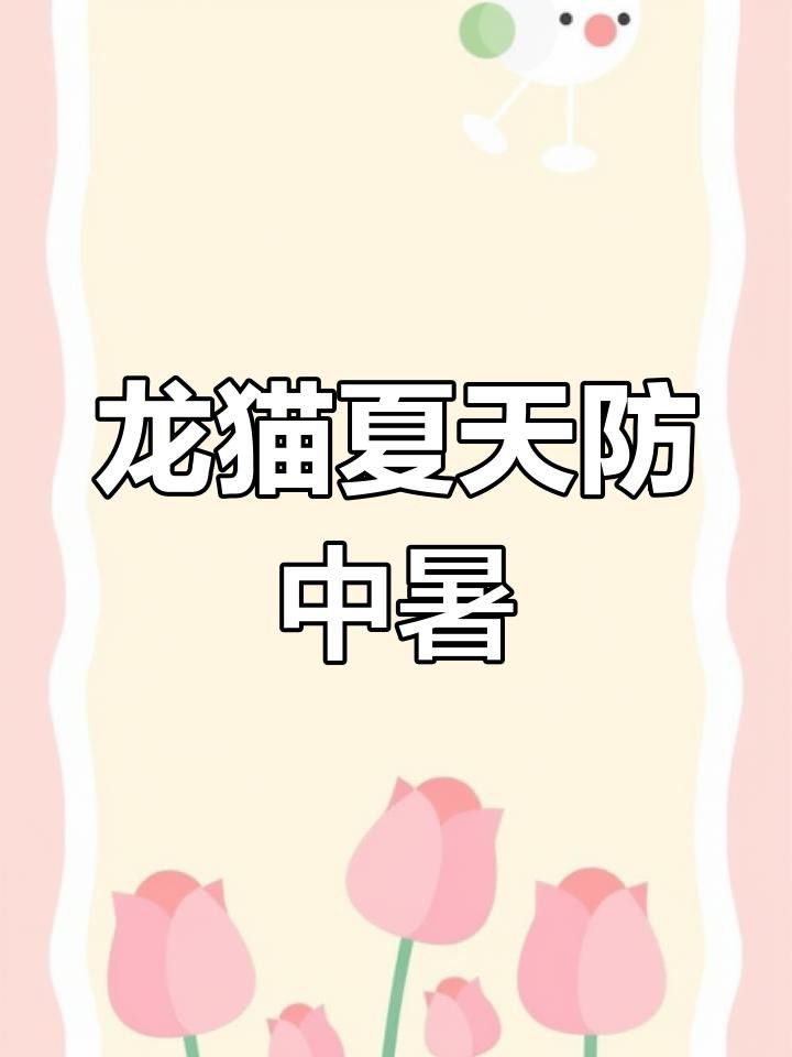 如何預防龍貓中暑？