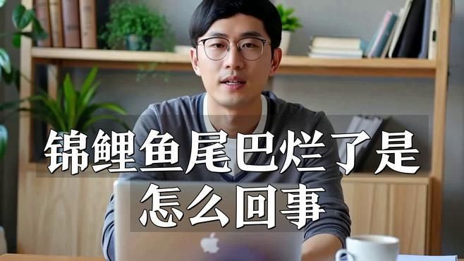 如何判斷錦鯉是否得了爛尾病？