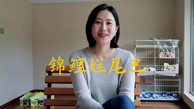 如何判斷錦鯉是否得了爛尾病？