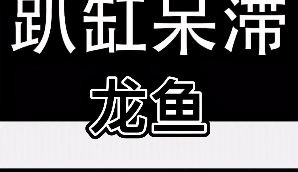 龍魚趴缸人一過去就游起來：龍魚趴缸是一種常見的熱帶魚類，以其優雅的姿態而受到人們喜愛
